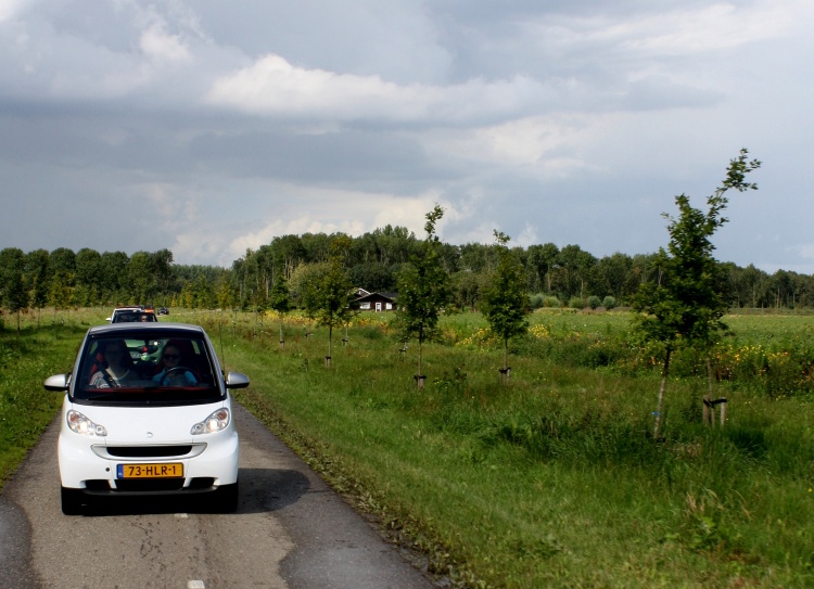 Daimler Smart