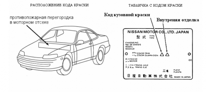 Расположение кода краски на Nissan