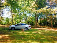 Продажи Ford Focus упали на 41%